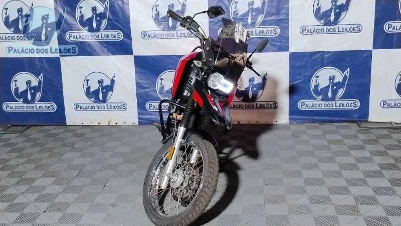 Lote 334 - SHINERAY SHI 175